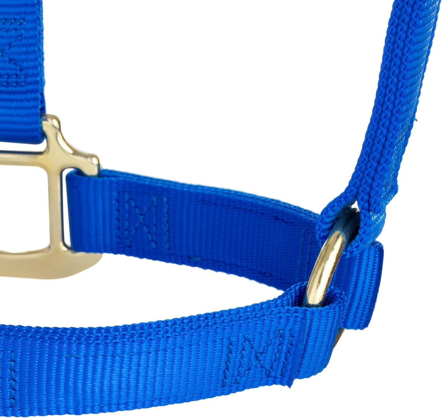 Weaver Equine Nylon Horse Halter, Triple-Ply Cheek Design, Original Non Adjustable Halters for Horses, Equine Tack,Average Size, Black