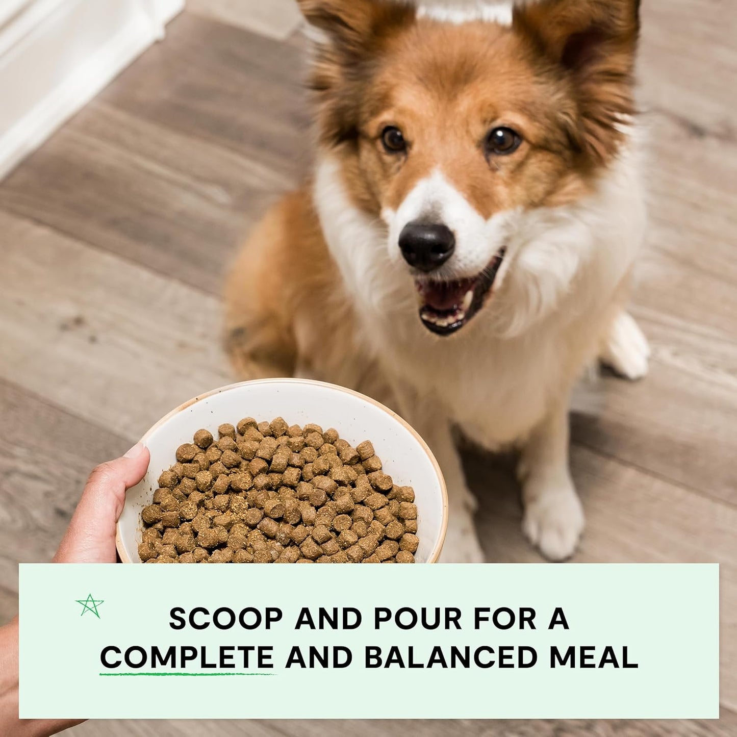 Open Farm, Grain-Free Dry Dog Food, Complete & Balanced Kibble, Sustainably & Ethically Sourced Ingredients, Non-GMO Veggies & Superfoods to Support Overall Health, Turkey and Chicken Recipe, 22lb Bag