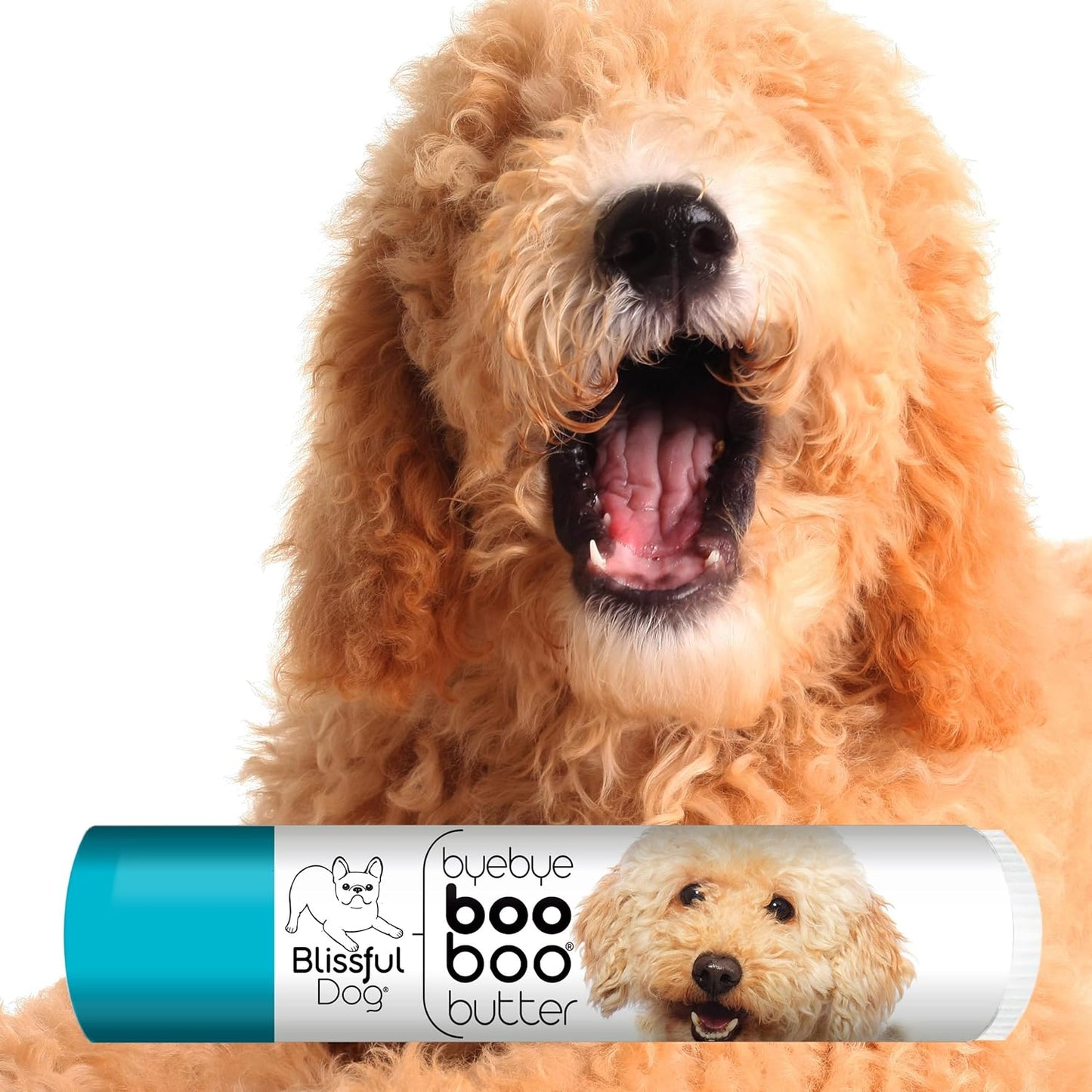 The Blissful Dog .15 oz Tube Goldendoodle Booboo Butter
