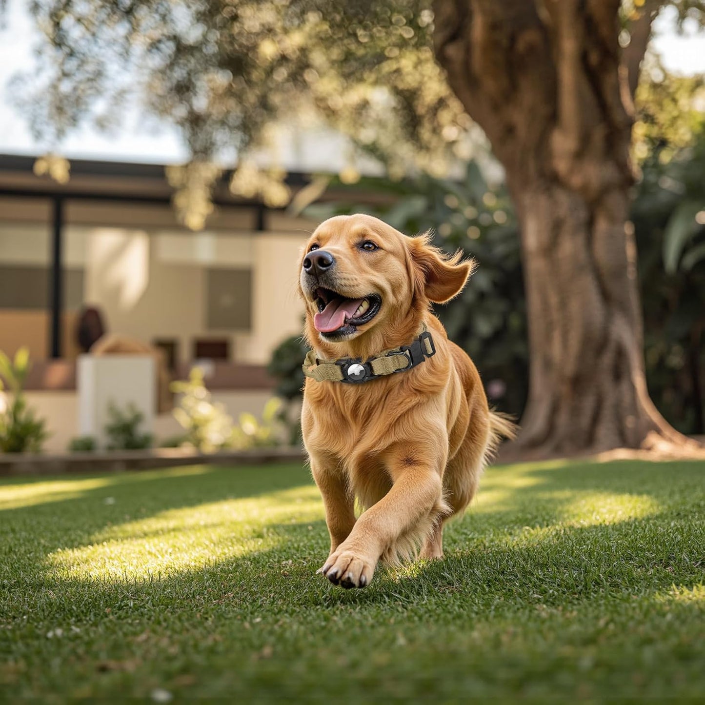 Tactical AirTag Dog Collar Leash Set - Heavy Duty, Adjustable GPS Collar Compatible with Apple AirTag, with Holder & Control Handle for Medium/Large Dogs [ Brown, L ]