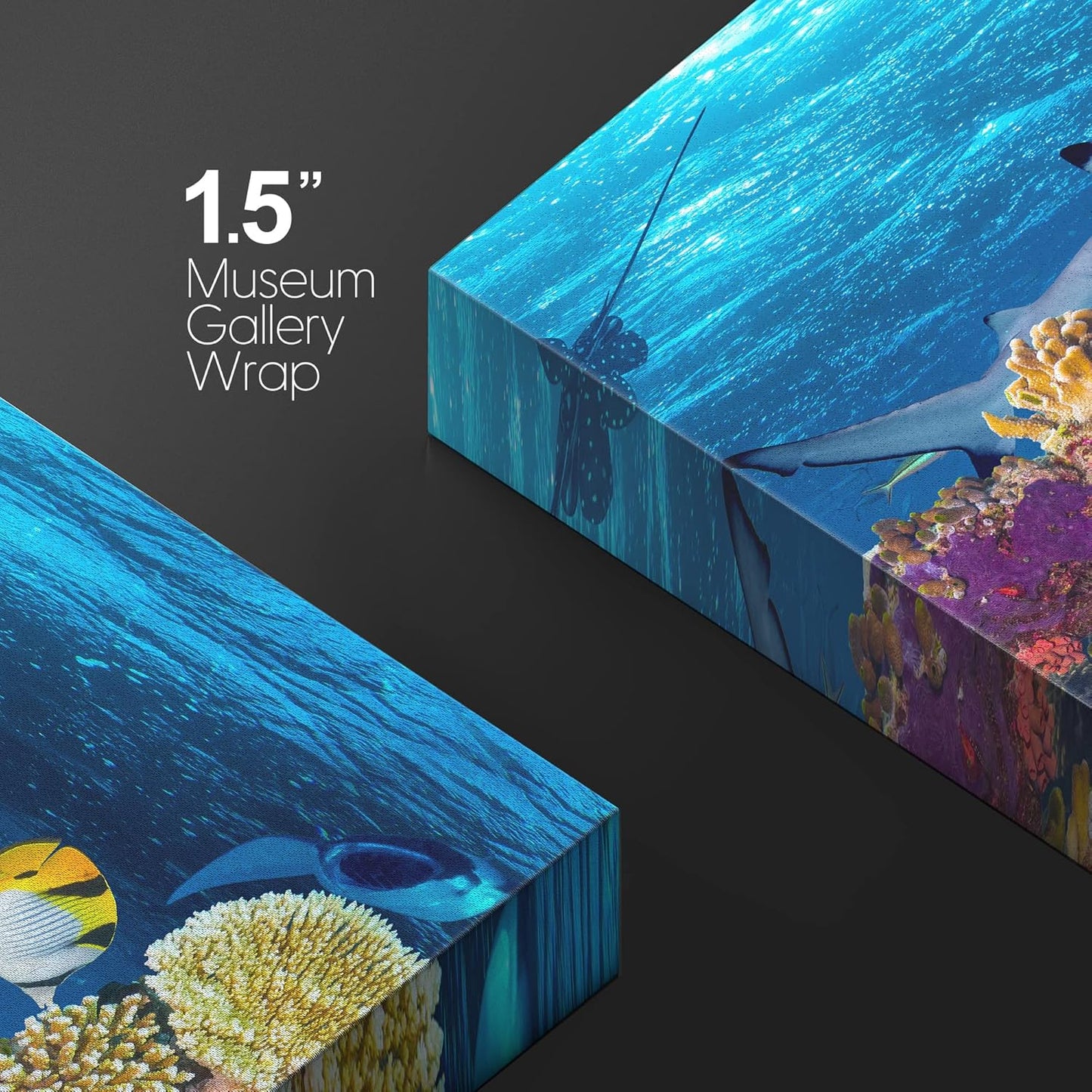 wall26 Canvas Print Wall Art Tropical Island Underwater Turtle Shark Nature Animals Photography Realism Rustic Scenic Landscape Wilderness Earth Colorful for Living Room, Bedroom, Office - 12"x18"