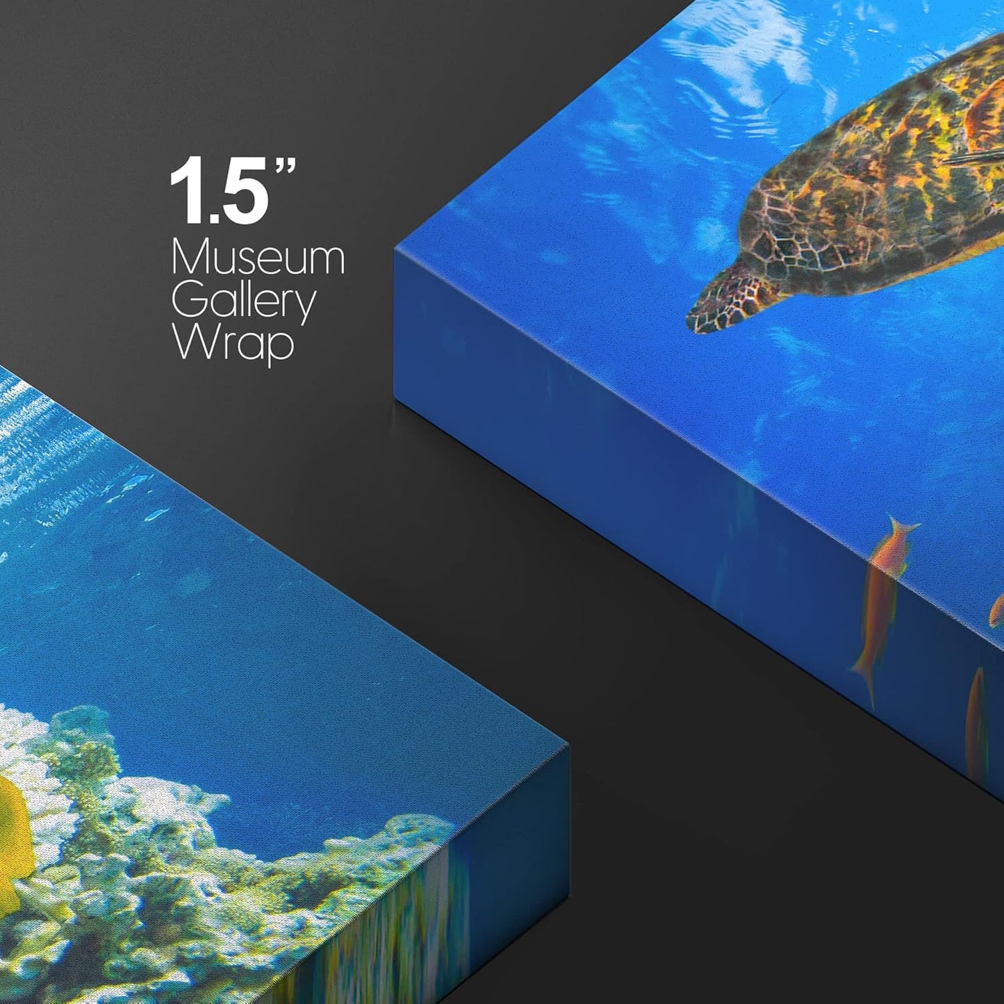 wall26 Canvas Print Wall Art Vibrant Neon Underwater Turtle, Reef & Fish Nature Animals Photography Realism Rustic Scenic Landscape Wilderness Colorful for Living Room, Bedroom, Office - 16"x24"