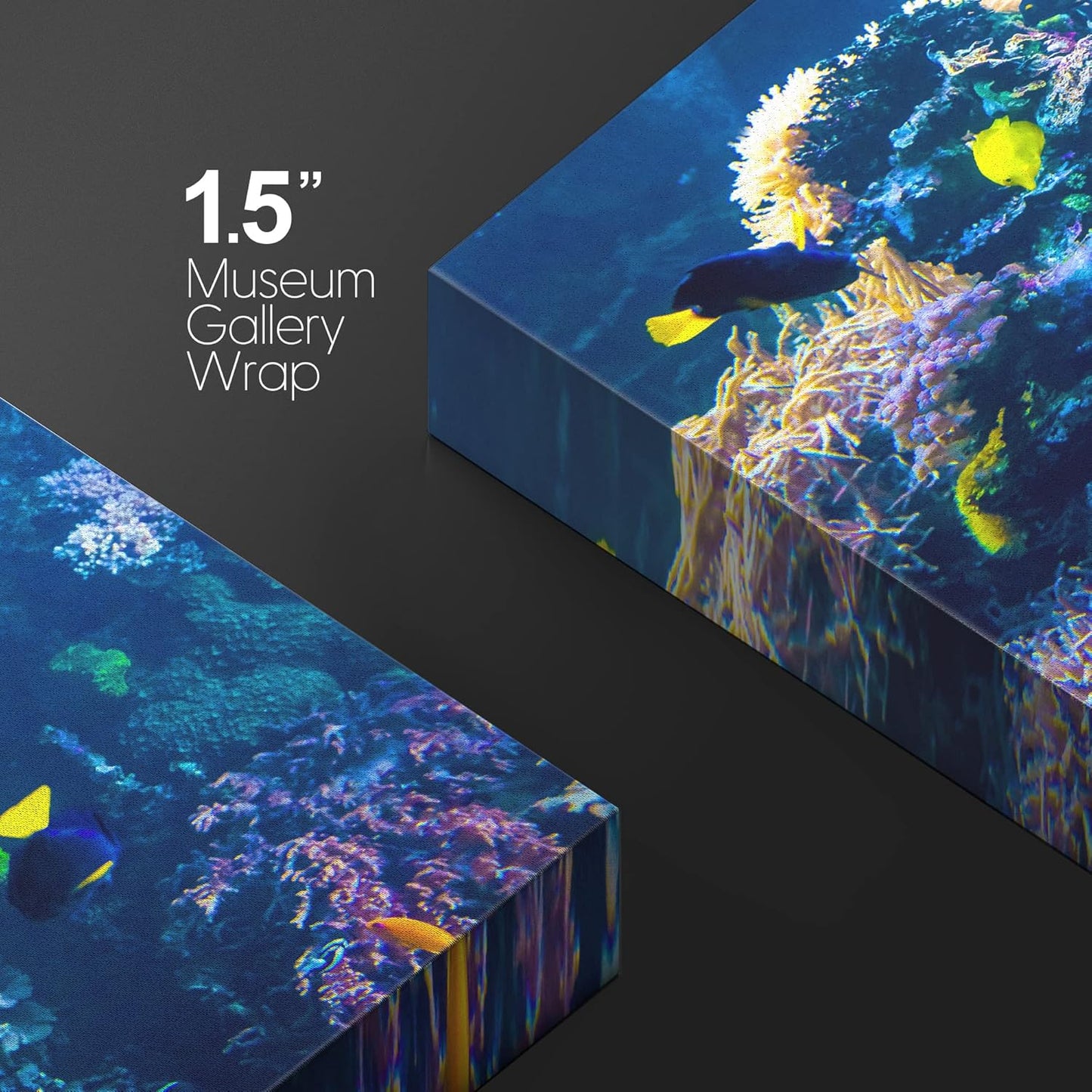 wall26 Canvas Print Wall Art Vibrant Multicolor Coral Reef Fish Ecosystem Nature Animals Photography Realism Rustic Scenic Landscape Wilderness Colorful for Living Room, Bedroom, Office - 32"x48"