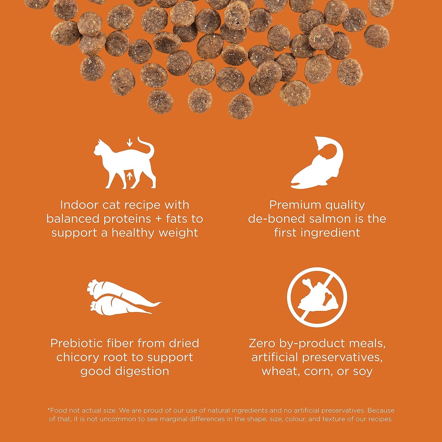 Go! Solutions Skin + Coat Care, Grain-Free Dry Cat Food, Salmon Recipe, 3 lb Bag