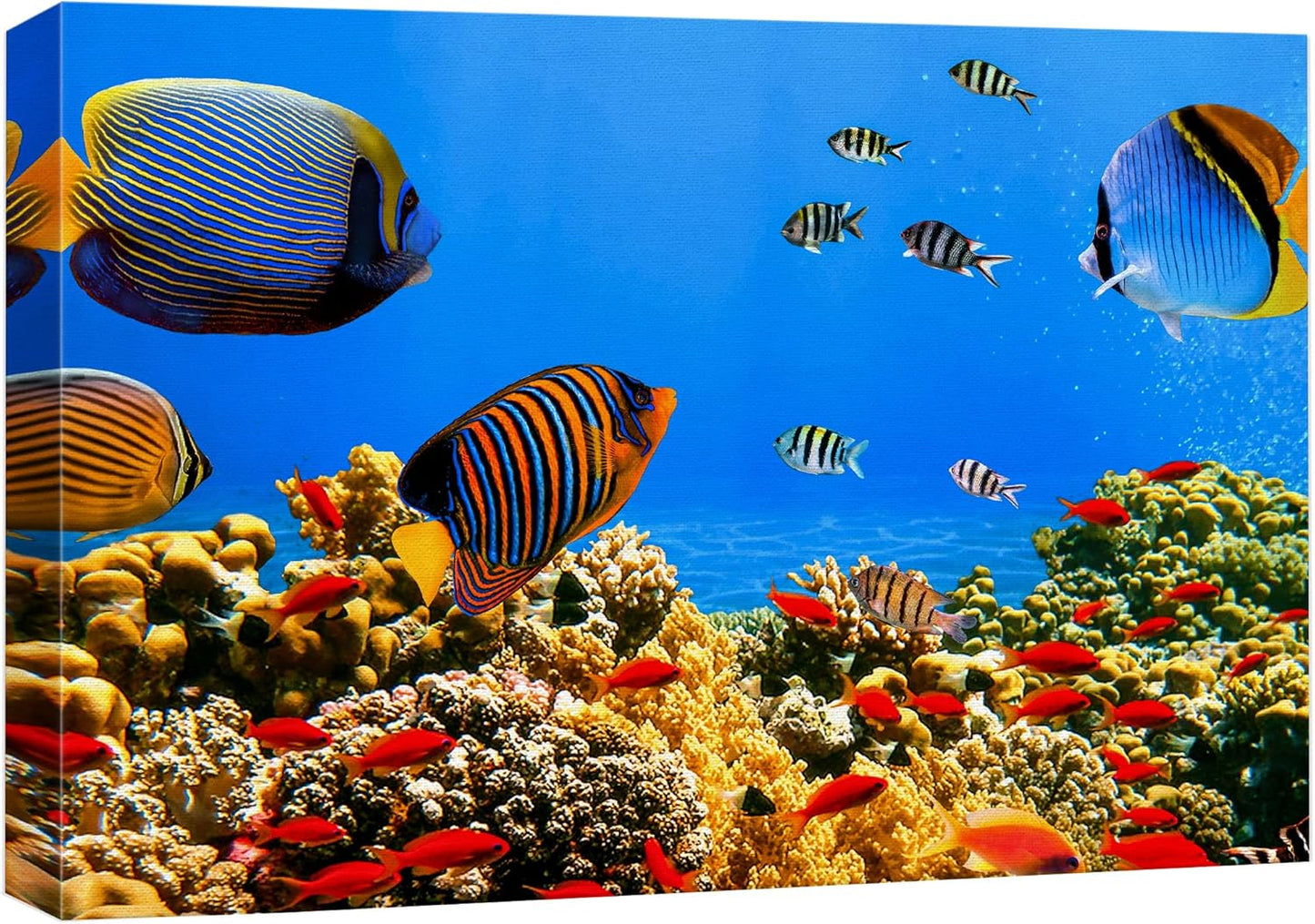 wall26 Canvas Print Wall Art Tropical Island Underwater Fish Red Anemone Nature Animals Photography Realism Rustic Scenic Landscape Wilderness Colorful for Living Room, Bedroom, Office - 16"x24"