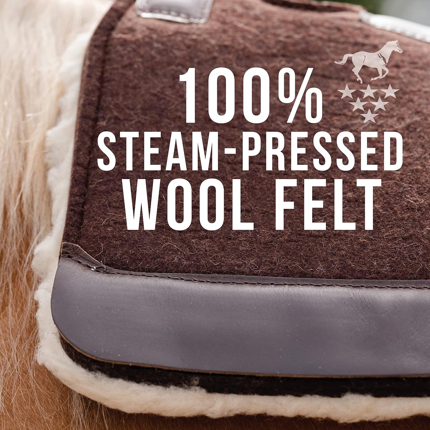 Professional's Choice 100% Steam-Pressed Wool Felt Saddle pad