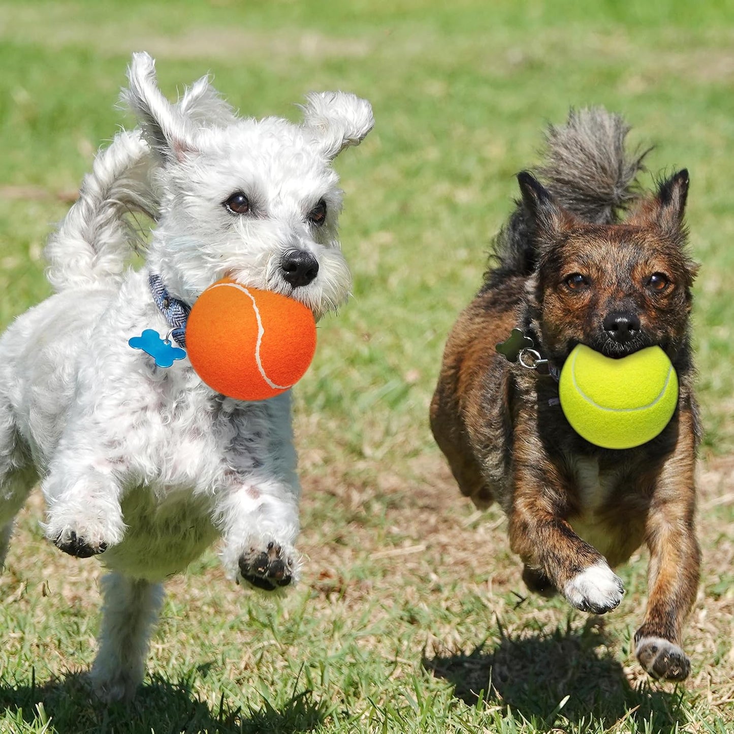 Large Dog Tennis Balls 4-Pack, 4 inch Interactive Big Dog Toy Ball for Small Medium Large Dogs, Dog Toys for Outdoor/Indoor Sports, Fetch, Training & Play