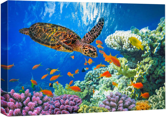 wall26 Canvas Print Wall Art Vibrant Neon Underwater Turtle, Reef & Fish Nature Animals Photography Realism Rustic Scenic Landscape Wilderness Colorful for Living Room, Bedroom, Office - 16"x24"