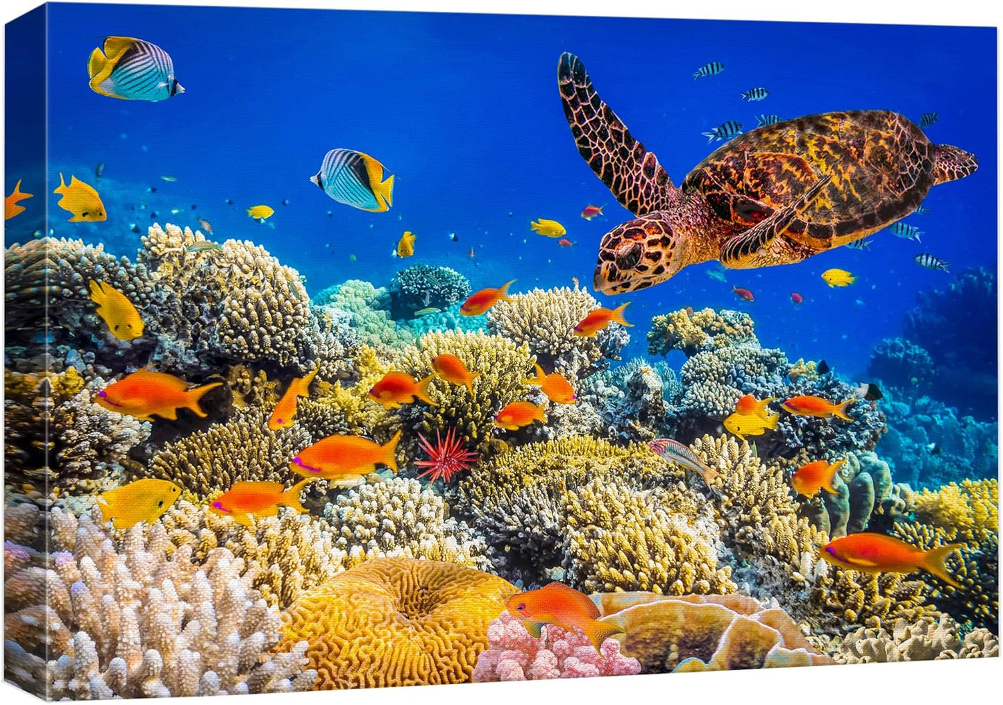 wall26 Canvas Print Wall Art Neon Coral Reef Blue Hippo Tang Fish Turtle Nature Animals Photography Realism Rustic Scenic Landscape Wilderness Colorful for Living Room, Bedroom, Office - 32"x48"