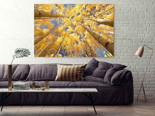 Nature Wall Art Prints - Ocean Forest Mountain Lake Canvas Landscapes - Small to Extra Large Living Room Bedroom Kitchen Bathroom Décor (Reaching for the Sky, 24L" x 36W")