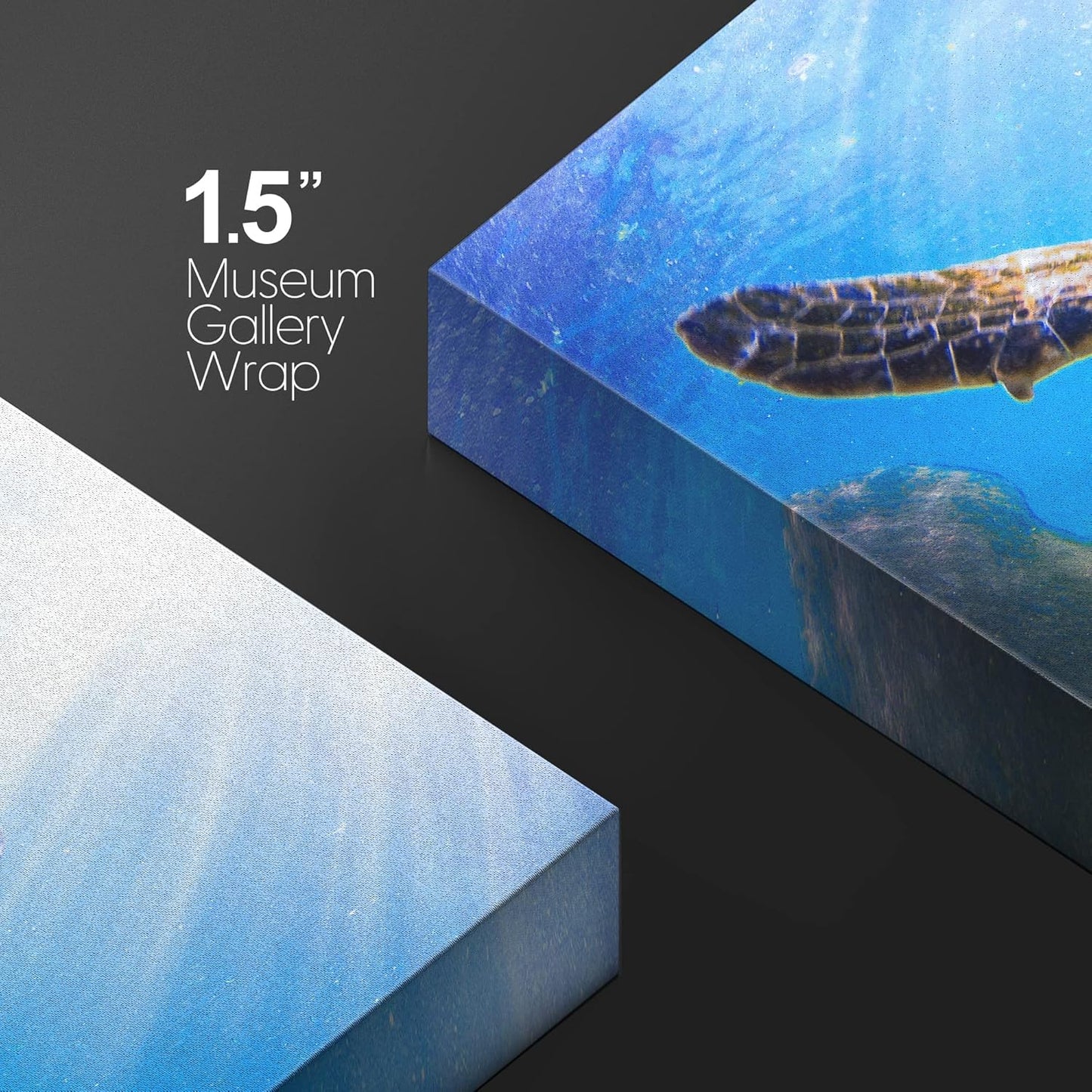 wall26 Canvas Print Wall Art Sunlight Ray Tropical Turtle Swimming Ocean Nature Animals Photography Realism Rustic Scenic Landscape Wilderness Colorful for Living Room, Bedroom, Office - 24"x36"