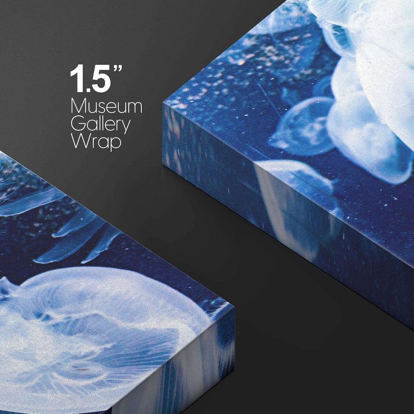 wall26 Canvas Print Wall Art Translucent X-Ray Tropical Ocean Jellyfish Nature Animals Photography Realism Rustic Scenic Landscape Wilderness Earth for Living Room, Bedroom, Office - 12"x18"