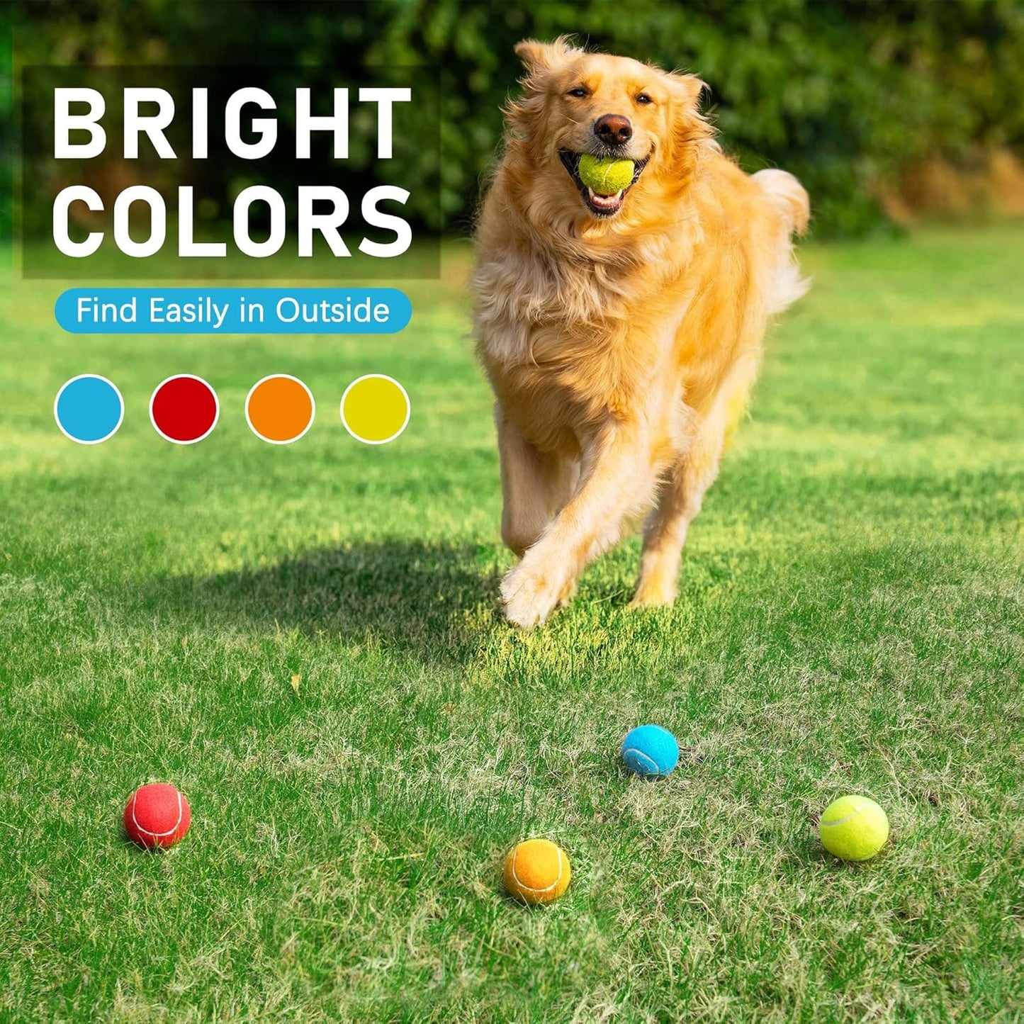 Prime Pets Toys for Dogs, 2.5 Inch Dog Toys, Interactive Pet Dog Toy Balls for Medium, Large Dogs, Tennis Balls for Dogs