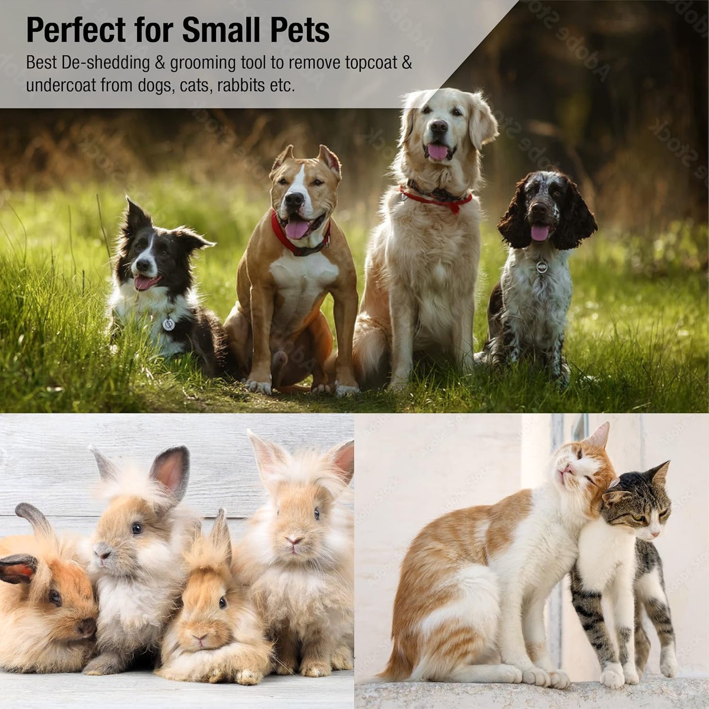 King Kanine Mini King Komb Pet Grooming Brush, Self Cleaning Deshedding | Multi-Use Tool for Cats & Kittens of All Life Stages | Mini Brush Pet for Grooming and Loose Hair | Perfect for Small Coats