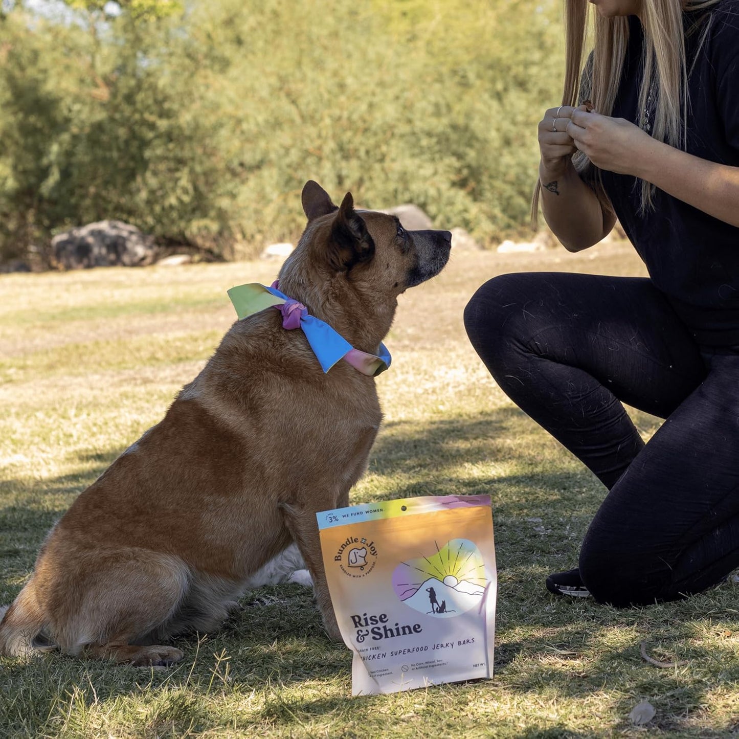 Bundle x Joy Rise & Shine Dog Treats, Chicken Jerky, Snack Bars, Puppy Training Treats, Natural Superfood, Grain, Corn, Poultry & Soy Free, 16oz