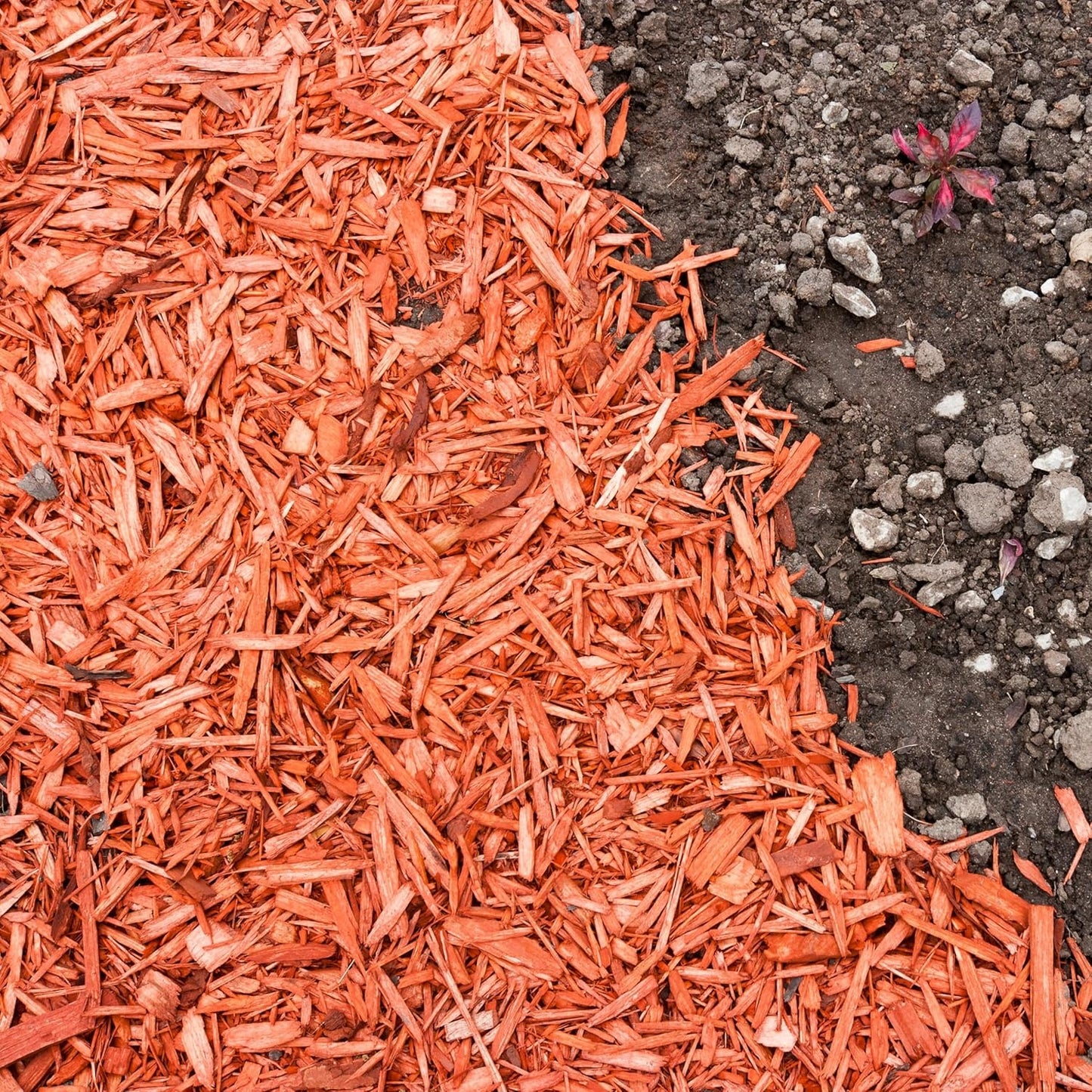 Premium Red Wood Mulch for Indoor, Patio, Potting Media, Gardens, Lawns, and Landscaping (0.3 CF - 8 L - 9 QTS)